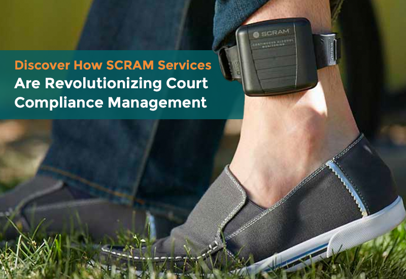 Top SCRAM Facts You Need to Know