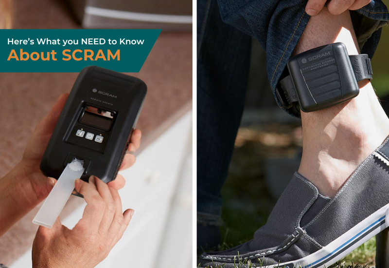 Top Questions About SCRAM Answered